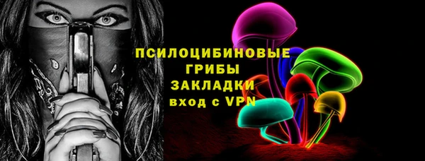 крисы Балахна