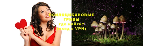 крисы Балахна