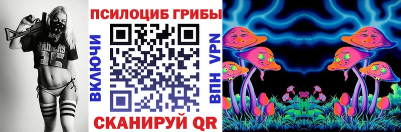 дарнет шоп Великий Устюг Галлюциногенные грибы мухоморы